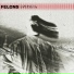 Felons