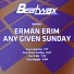 Erman Erim