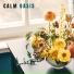 Acoustic Chill Out
