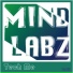 Mindlabz
