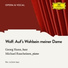 Georg Hann, Michael Raucheisen