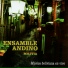 Ensamble Andino