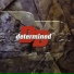 Determined