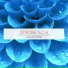 Strobetech