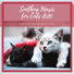 Soothing Music for Cats