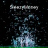 SleezyMoney