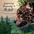 A-Mase, Elegant Ape