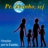 Pe. Zezinho SCJ