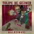 Tulipe De Gezner