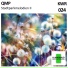 QMP