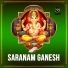 Gangadhara Sastry, Chalapathi Rao