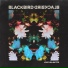 Blackbird Blackbird