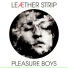Leather Strip