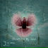 Jona Bird, JonZ