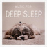 Deep Sleep