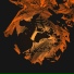 Man As Island