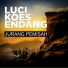 Luci Koes Endang