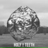 Holy Teeth