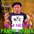 Pandy Apana