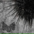 Skyloth
