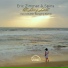 Spins & Eric Zimmer & Dreamy