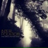 Simak Delitvin & Information Ghetto