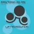 Inner Feelings Original Mix Ferry Corsten