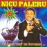 Nicu Paleru