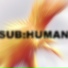 FreeSwim