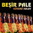 Beşir Pale