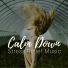 Calm Music Sound
