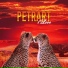 PETRART