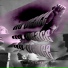 RoseNcok3