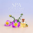 Oasis de Musique Zen Spa
