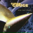 Supergouge