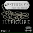 Illfigure feat. MC Biggz