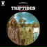 Triptides