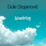 Dule Stojanović