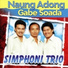 Simphoni Trio