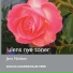 Jens Nielsen