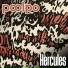 Poolpo