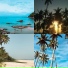 Deluxe Tropical Christmas