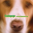 Casiopepe