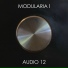 Audio 12