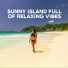 Brazilian Lounge Project, Hawaiian Music