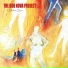 The Bob Nova Project, Live Foyn Friis