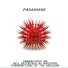 Paasanisse