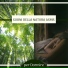 Suoni Naturali Prime