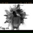 Tripy Xon