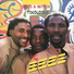The Bees